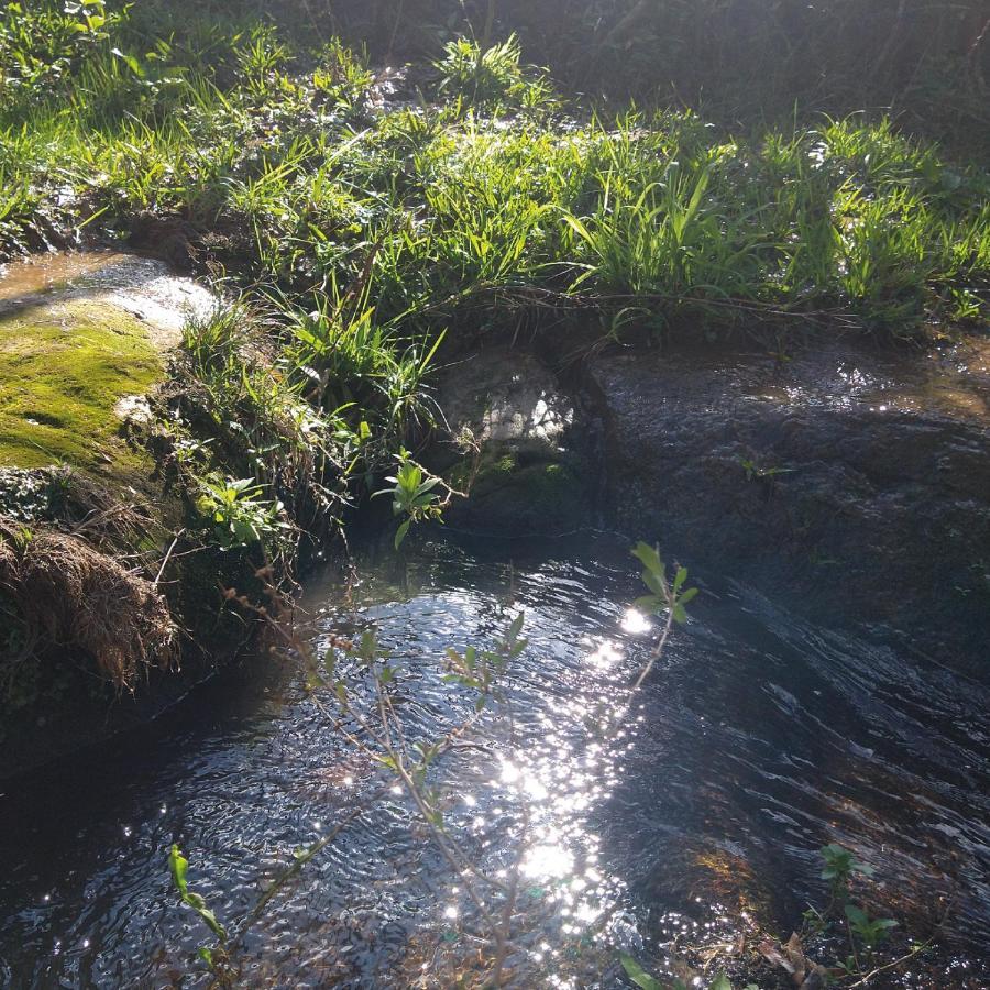 Yahoo Ecolodge Rio Rufino المظهر الخارجي الصورة