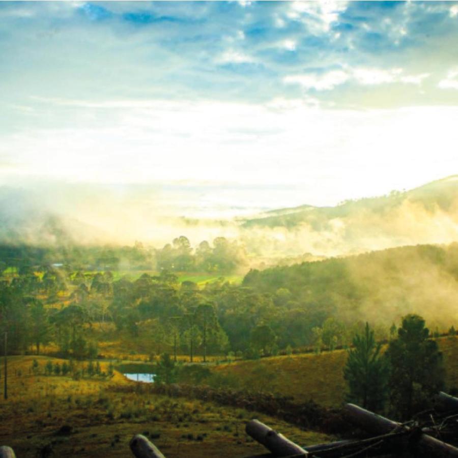 Yahoo Ecolodge Rio Rufino المظهر الخارجي الصورة