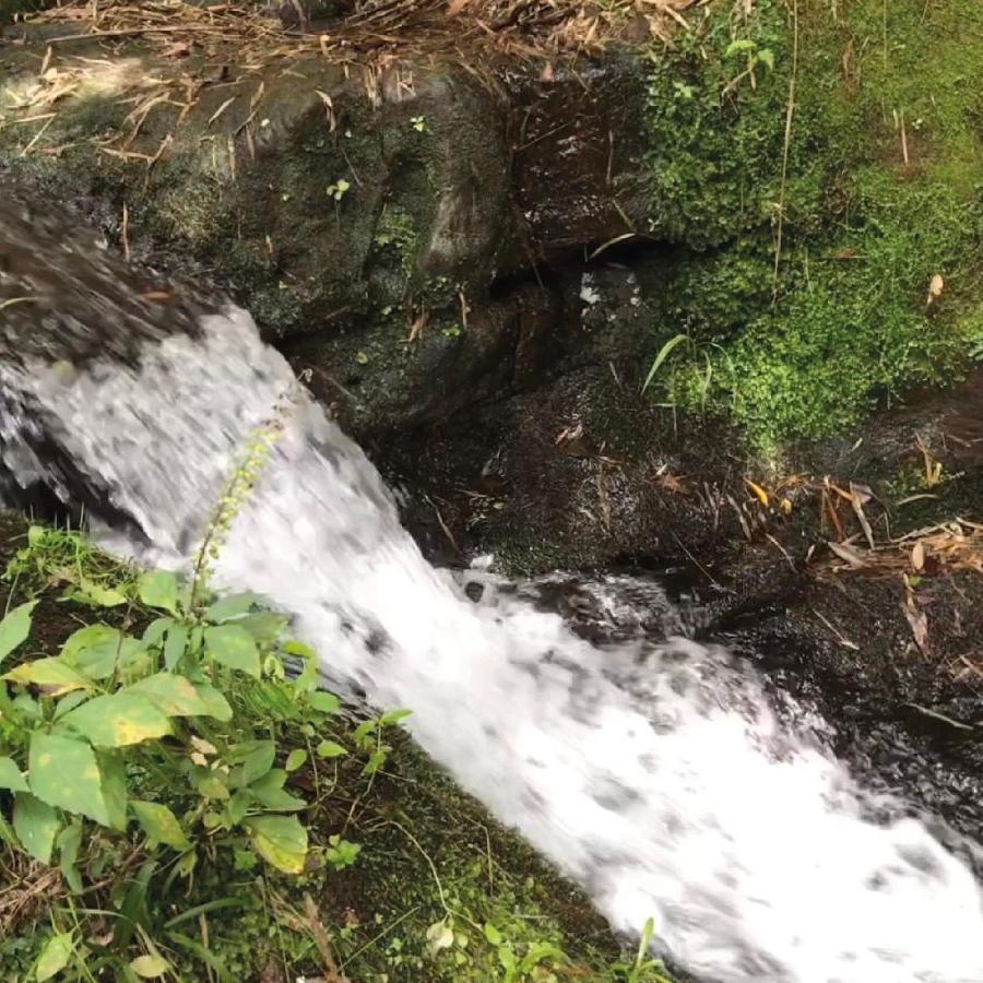 Yahoo Ecolodge Rio Rufino المظهر الخارجي الصورة