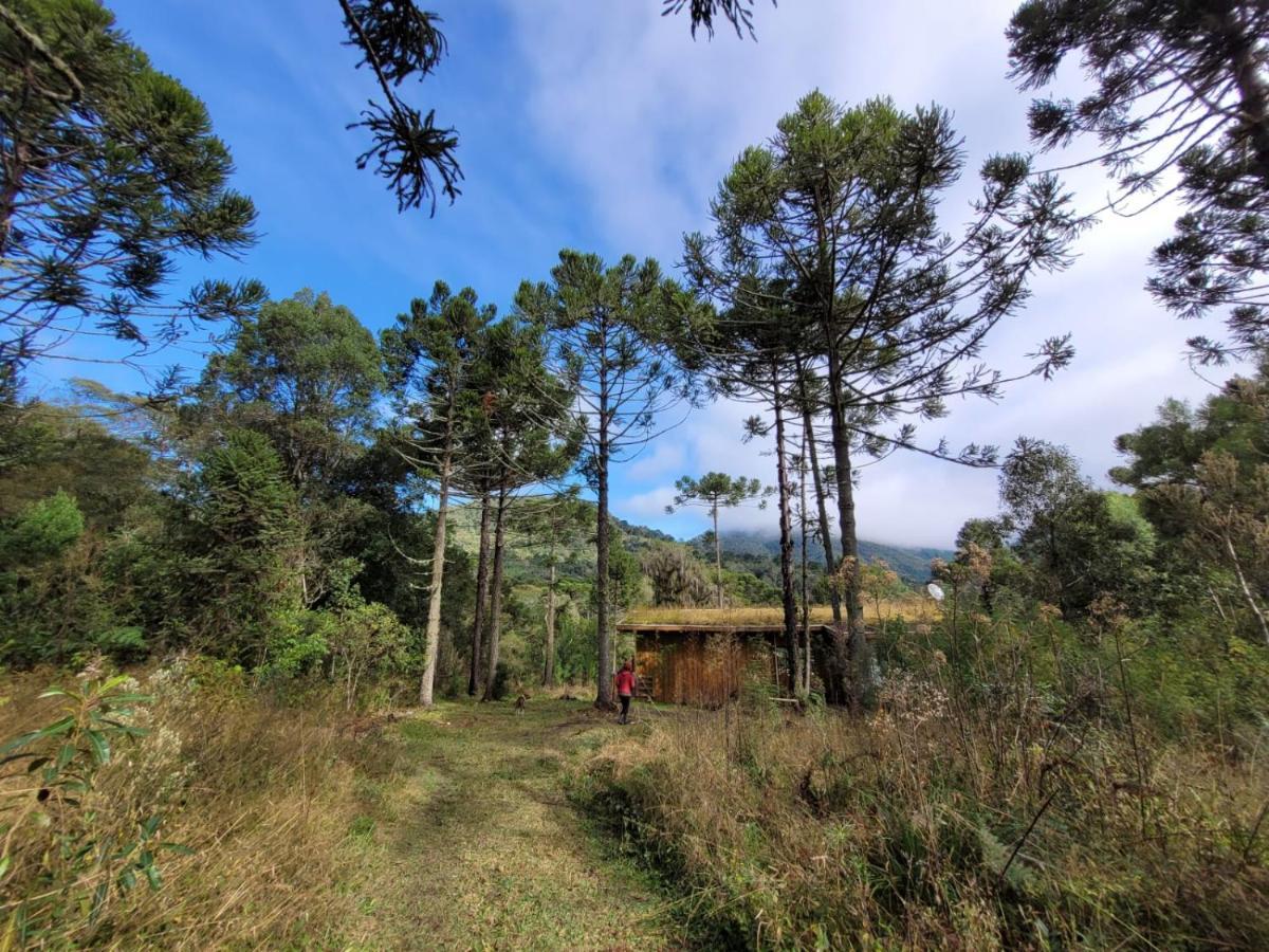 Yahoo Ecolodge Rio Rufino المظهر الخارجي الصورة
