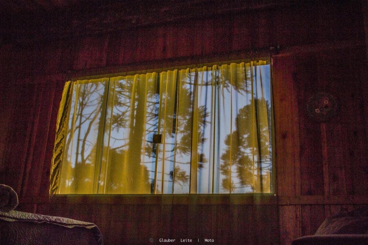 Yahoo Ecolodge Rio Rufino المظهر الخارجي الصورة